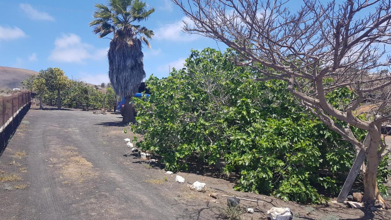 Finca Relax, Sea View, Oasis Vasiliko, La Asomada Tías Kültér fotó